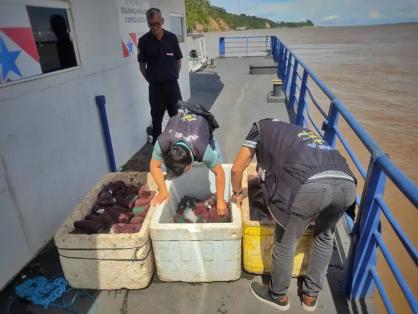 Os fiscais da Adepará apreenderam, na tarde desta segunda-feira (20), mais de 215 litros de açaí processado durante fiscalização feita pela equipe da Base Integrada Fluvial Candiru, em Óbidos, no Oeste do Pará.)