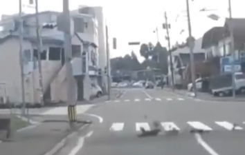 Terremoto de magnitude 7,4 atinge o norte do Japão e coloca população em alerta para risco de tsunami