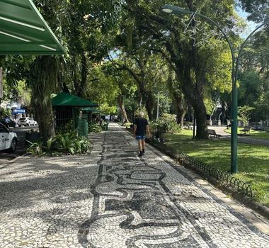 Imagem - Garça aparece morta na Praça Batista Campos e caso acende alerta em Belém