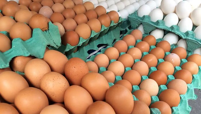 Preço do ovo volta a subir em Belém e já acumula alta de até 23% em 2026