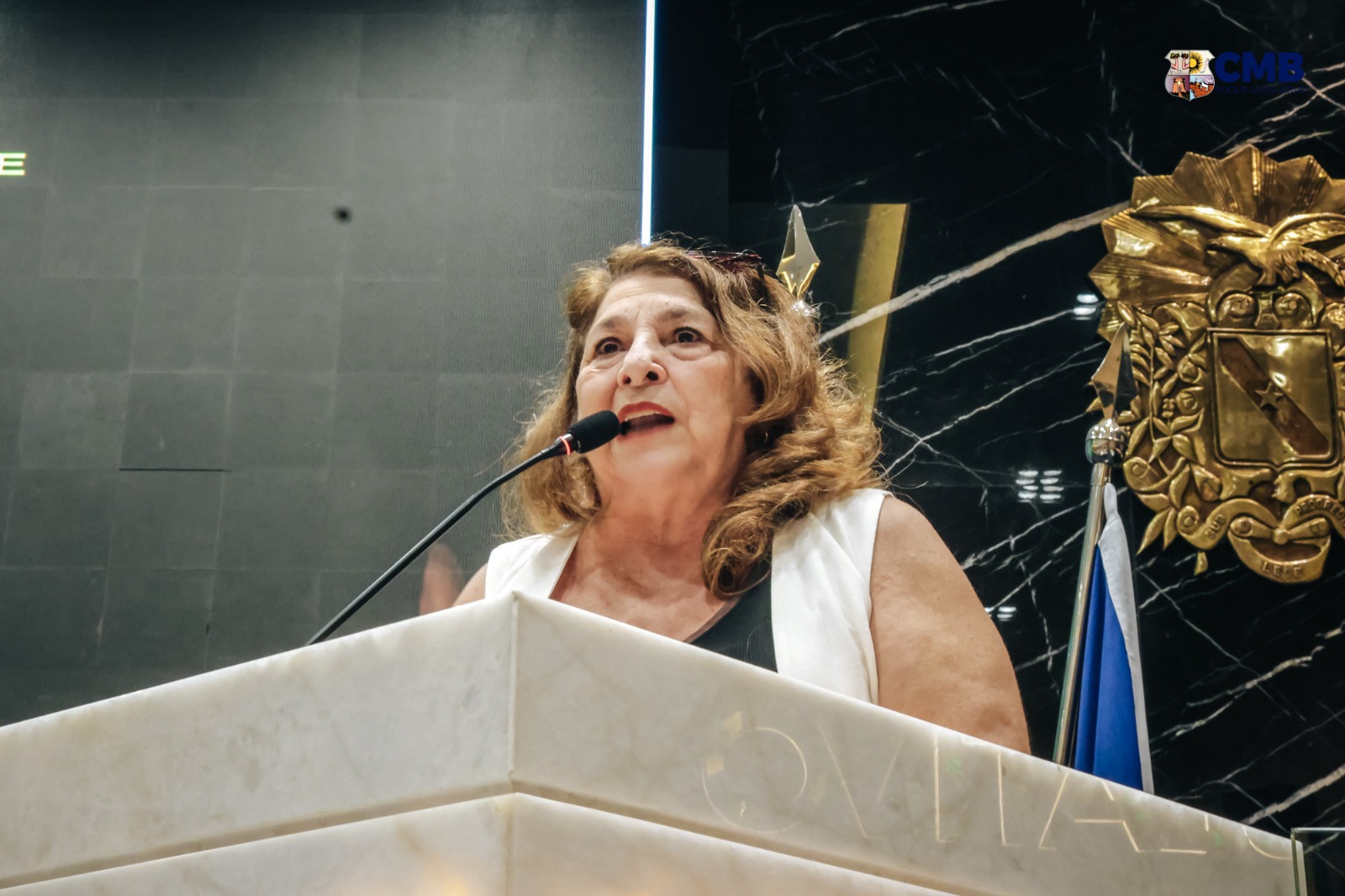 Vereadora Marinor Brito, em pronunciamento na Câmara Municipal de Belém nesta quarta (22)