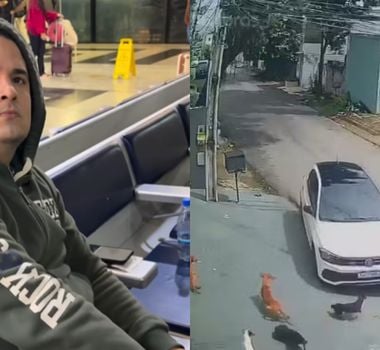 Imagem - Motorista invade calçada para atingir cães em Manaus; assista