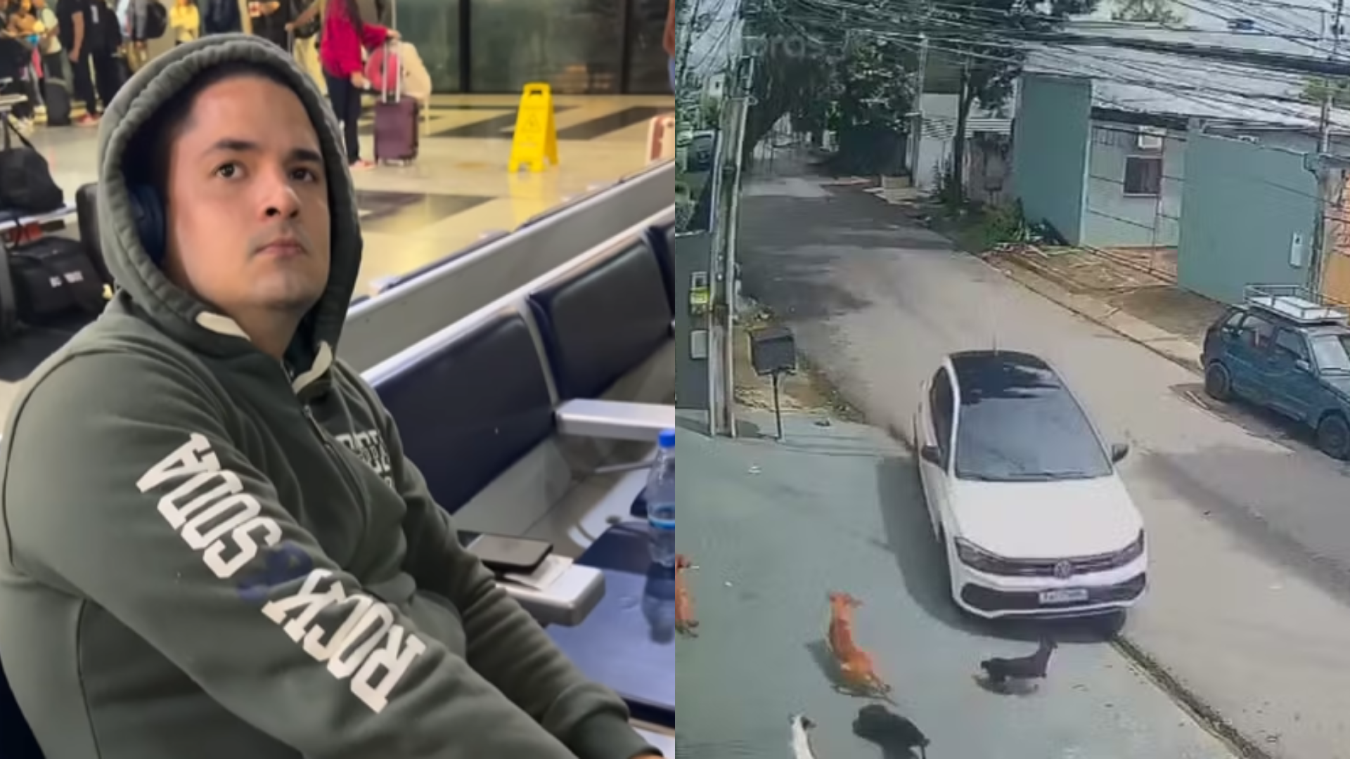 Motorista invade calçada para atingir cães em Manaus; assista