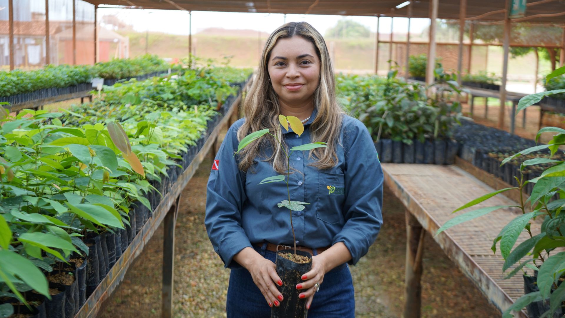 Imagem - Fornecedores locais são fortalecidos com produção de mudas nativas para recuperação florestal