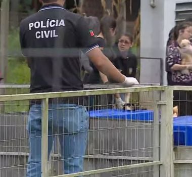 Imagem - Operação resgata mais de 220 animais em canil clandestino e encontra fetos de animais em geladeiras no RS