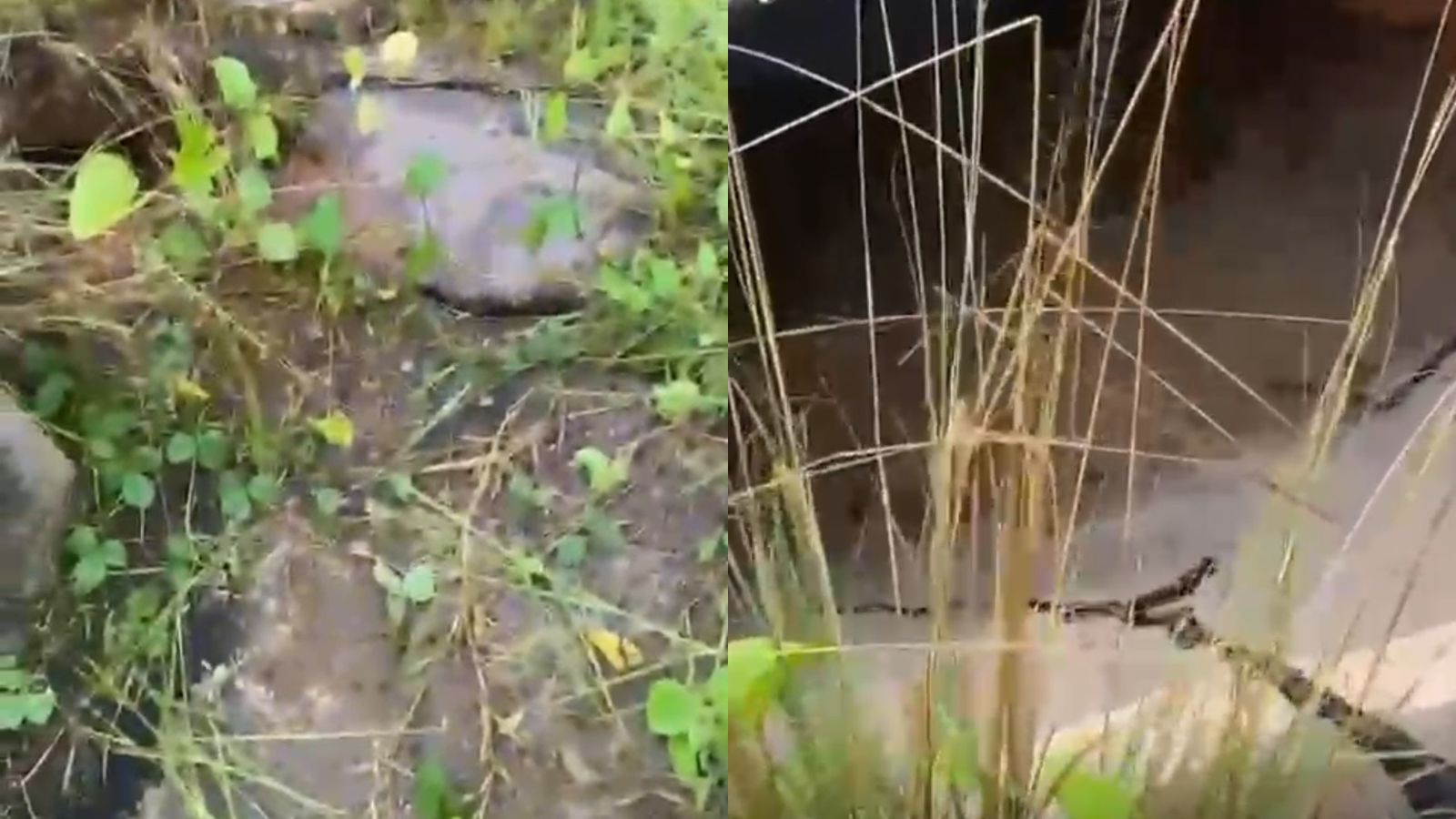 As imagens mostram a formação de um buraco na estrutura da ponte sobre o Igarapé Ipitinga, levantando preocupações sobre a segurança no local.