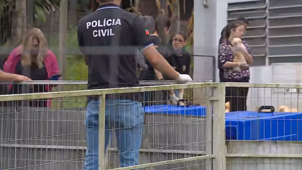 Imagem - Operação resgata mais de 220 animais em canil clandestino e encontra fetos de animais em geladeiras no RS