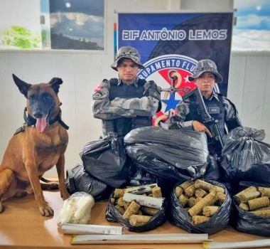 Imagem - Base fluvial apreende mais de 80 kg de “supermaconha” em embarcação que vinha de Manaus com destino a Belém