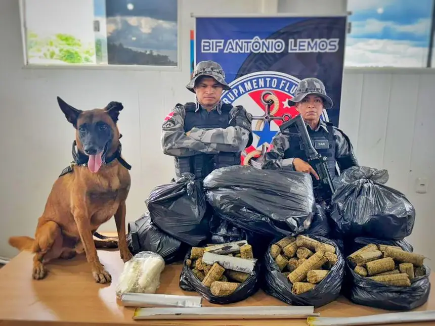 (As drogas estavam distribuídas em diversas caixas e parte do material foi ocultada em tubos de alumínio, envoltos em borrachas, estratégia utilizada para dificultar a fiscalização.)