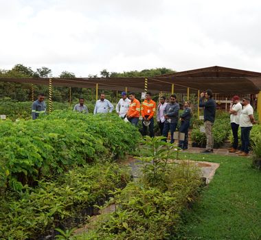 Imagem - Hydro investe mais de R$ 600 mil em fornecedores de mudas nativas no Pará e fortalece economia local