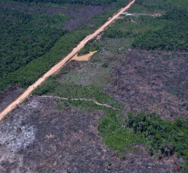 Imagem - Desmatamento na Amazônia cai no início de 2026, mas alta em março acende alerta