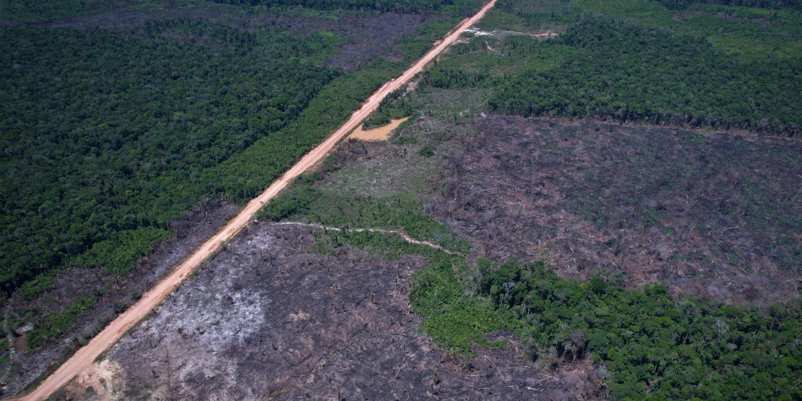 Imagem - Desmatamento na Amazônia cai no início de 2026, mas alta em março acende alerta