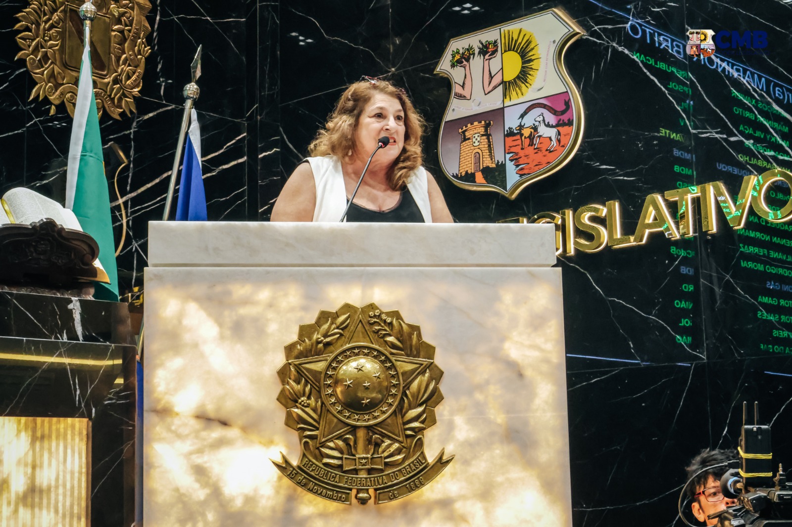 Vereadora Marinor Brito convocou a sessão da Câmara para esta terça-feira (28)