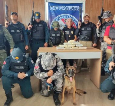 Imagem - Cão farejador Tupã auxilia na apreensão de 10 kg de "supermaconha" em embarcação no Pará