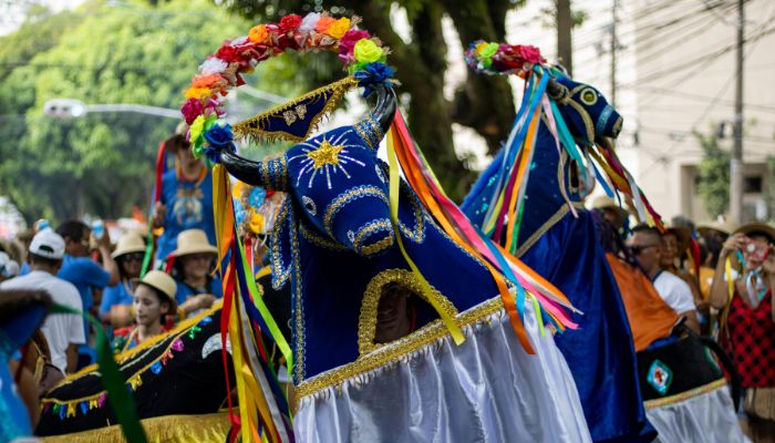 Imagem - Arrastão do Pavulagem 2026 começa a ganhar forma com evento de lançamento em Belém