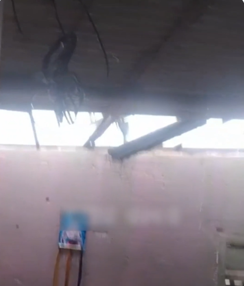 Imagem - Ventania destelha casa no bairro do Tapanã e derruba árvore no Outeiro, em Belém