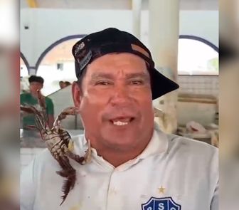 Imagem - 'Domador de caranguejo' chama atenção e viraliza em Salinas, no Pará