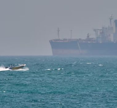 Imagem - Irã pode usar golfinhos com minas em ataques a navios, diz jornal