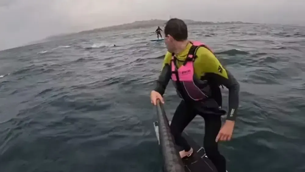 Imagem - Surfista vive minutos de terror ao ser seguido por tubarão nos EUA