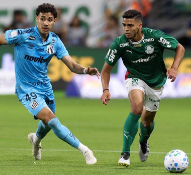 Imagem - Palmeiras empata com Santos, vê gol no fim ser anulado e mantém liderança ameaçada