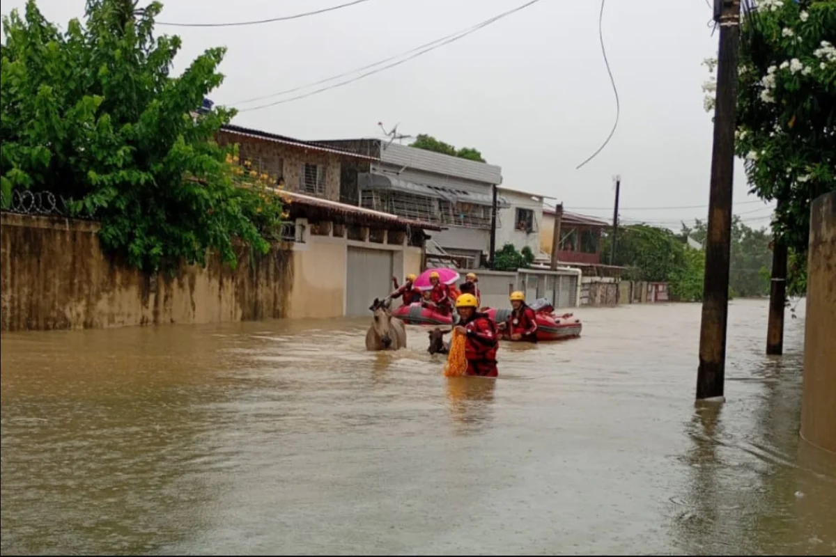 Pernambuco concentra maioria das vítimas; governos decretam estado de emergência
