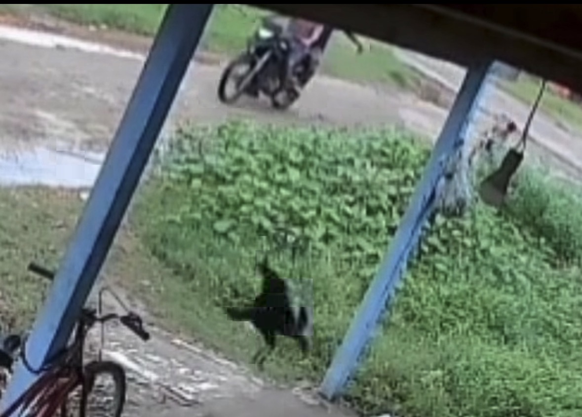 Dupla é presa após criança ser atingida por vergalhão em Soure, no Marajó