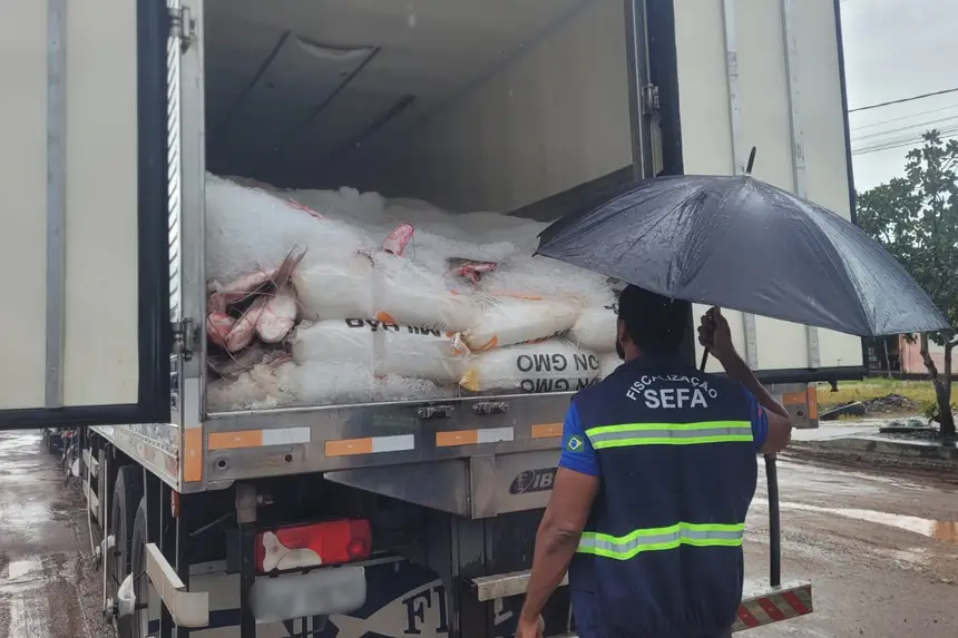 Imagem - Sefa apreende torres de transmissão e 26 toneladas de pescado no Pará