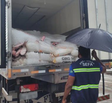 Imagem - Sefa apreende torres de transmissão e 26 toneladas de pescado no Pará