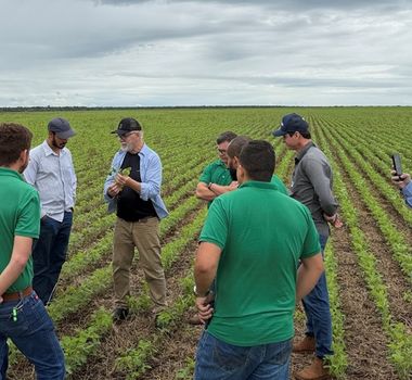 Imagem - Rally do Conhecimento leva discussões sobre manejo e bioinsumos a produtores do Pará e Tocantins