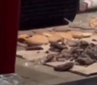 Imagem - VÍDEO: Motorista de aplicativo registra alimentos jogados no chão de hamburgueria em Belém; veja