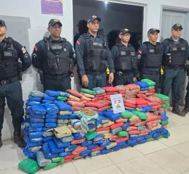 Imagem - Polícia Militar apreende mais de 460 kg de maconha em São Domingos do Araguaia