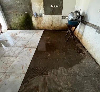 Imagem - Vigilância Sanitária apreende 500 quilos de polpas clandestinas e interdita agroindústria em São Domingos do Capim