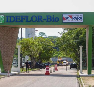 Imagem - IDEFLOR-Bio encerra inscrições para PSS nesta sexta; confira salário