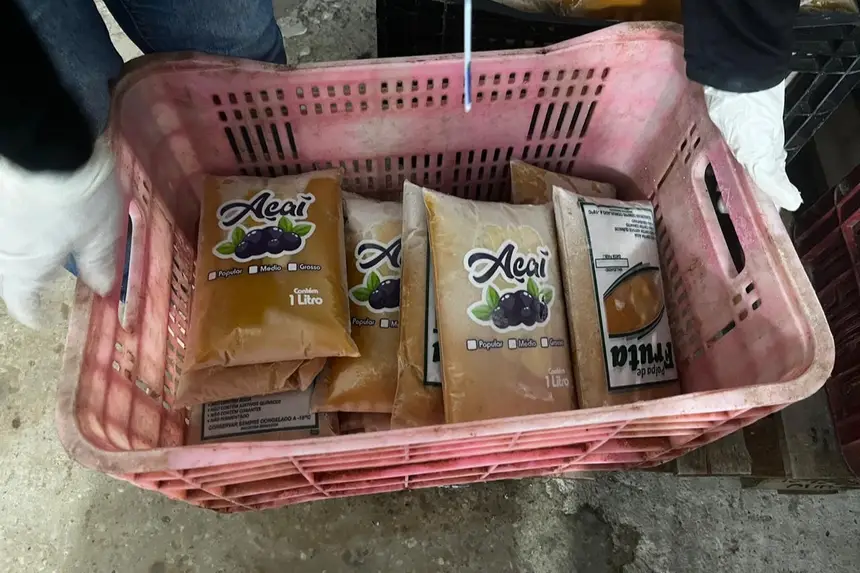 Polpas de açaí sem selo de inspeção.