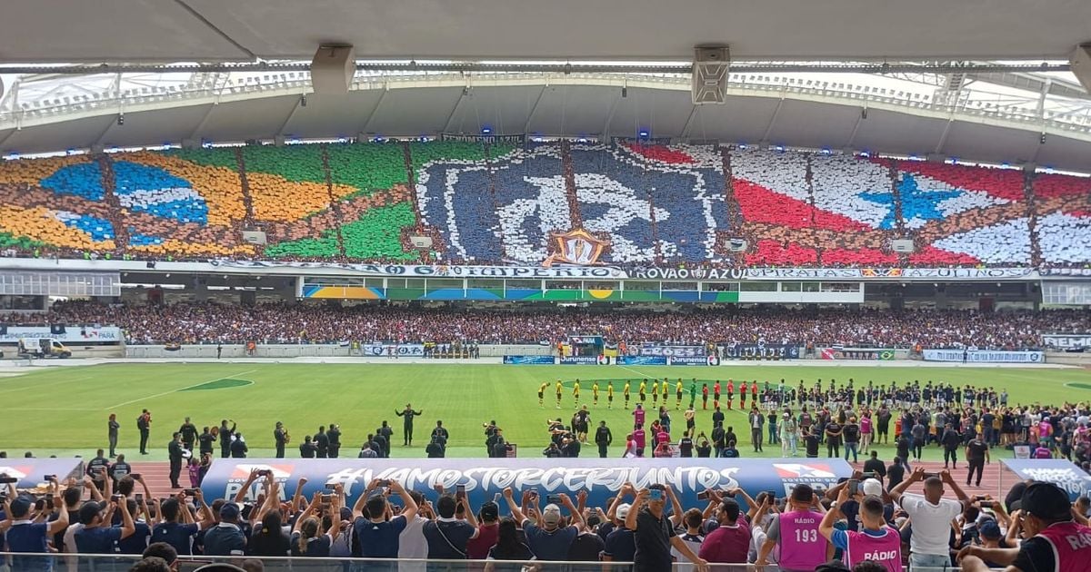 Mosaico que será exibido nas arquibancadas do Mangueirão neste domingo (10), no confronto entre Clube do Remo e Palmeiras.