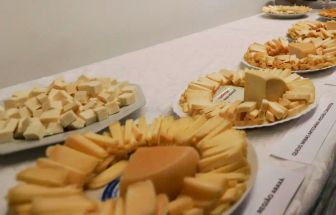 Brasil começa a importar queijo mais barato após acordo Mercosul–UE