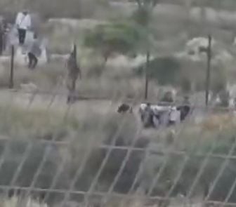 Imagem - Colonos israelenses atacam túmulo e forçam família palestina a exumar corpo na Cisjordânia