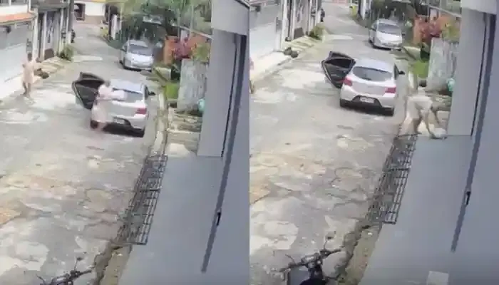 (Imagens de circuito interno flagraram a ação criminosa do entegador de aplicativo) 