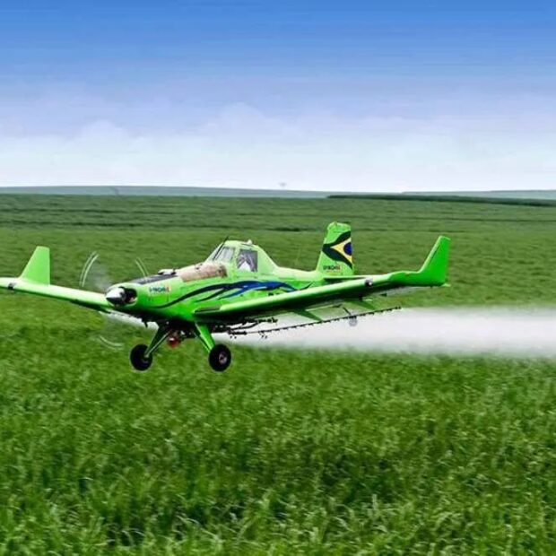 (Os dados iniciais do painel mostram que foram realizadas mais de 10 mil análises de agrotóxicos, com uma frequência de detecção de 7,2%.)