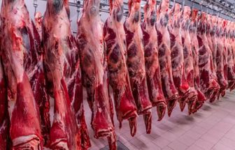 Governo reage com surpresa e tenta reverter veto da UE a carnes brasileiras