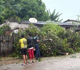 Imagem - Temporal causa transtornos e afeta bairros no Pará