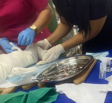 Imagem - Recém-nascida encontrada em mochila dentro de lixão morre no interior do Amazonas