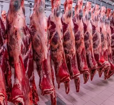 Imagem - Governo reage com surpresa e tenta reverter veto da UE a carnes brasileiras