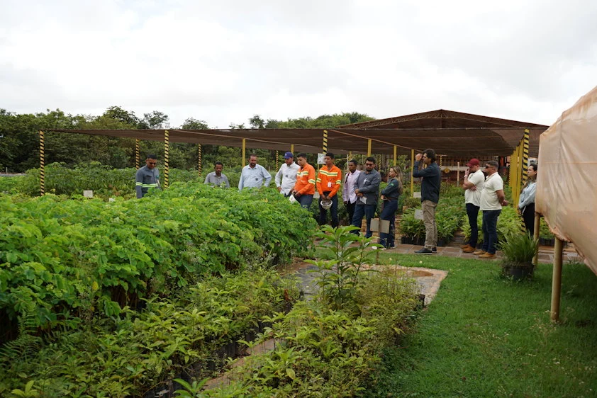 Fornecedores visitam viveiro da Mineração Paragominas durante workshop técnico 