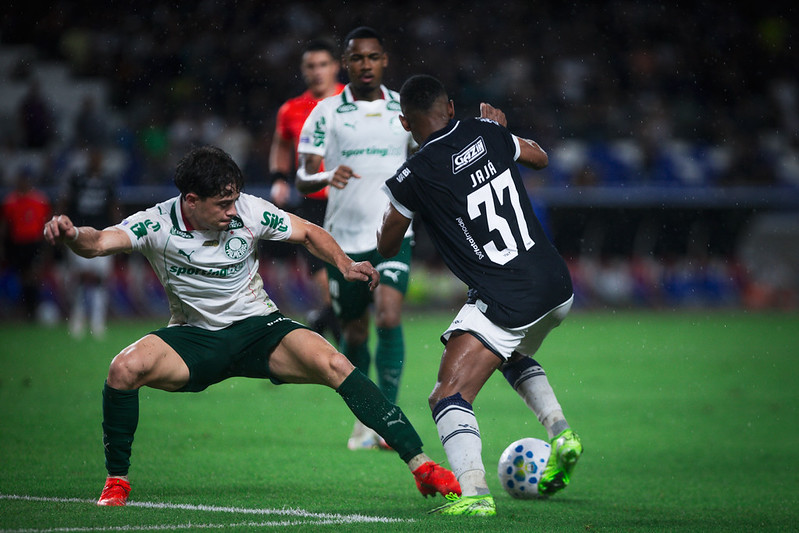 Imagem - CBF admite erro em gol anulado do Palmeiras contra o Remo pelo Brasileirão