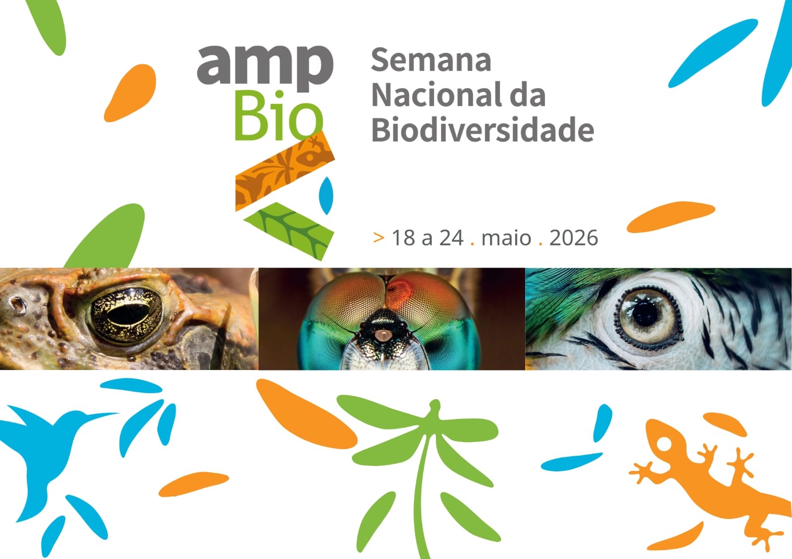 “Conectando Pessoas” leva monitoramento da biodiversidade ao Parque do Utinga