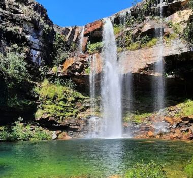 Imagem - Criança atacada por onça na Chapada dos Veadeiros passará por cirurgia