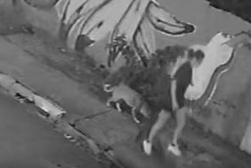 Jovem cai em bueiro quebrado durante passeio com cachorro em Cuiabá