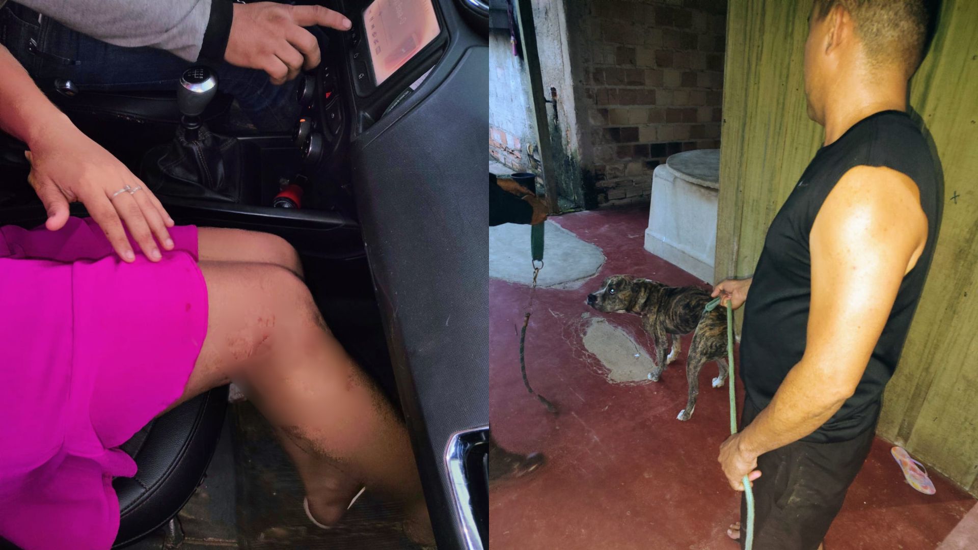 Mulher é atacada por pit bull e PM resgata crianças durante ocorrência no sudeste do Pará