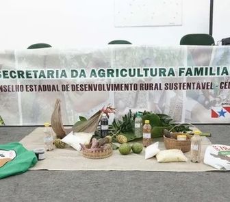 Imagem - Secretaria da Agricultura abre 20 vagas no Pará